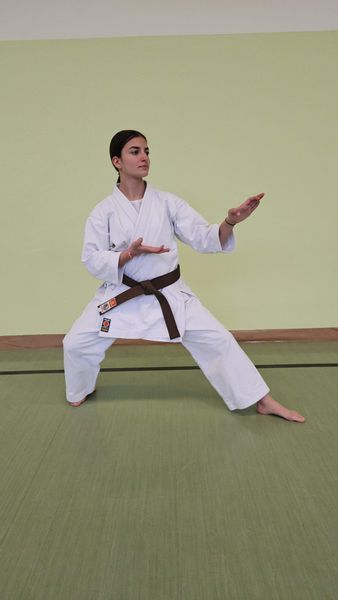 Kata-Vorführung in der Turnhalle