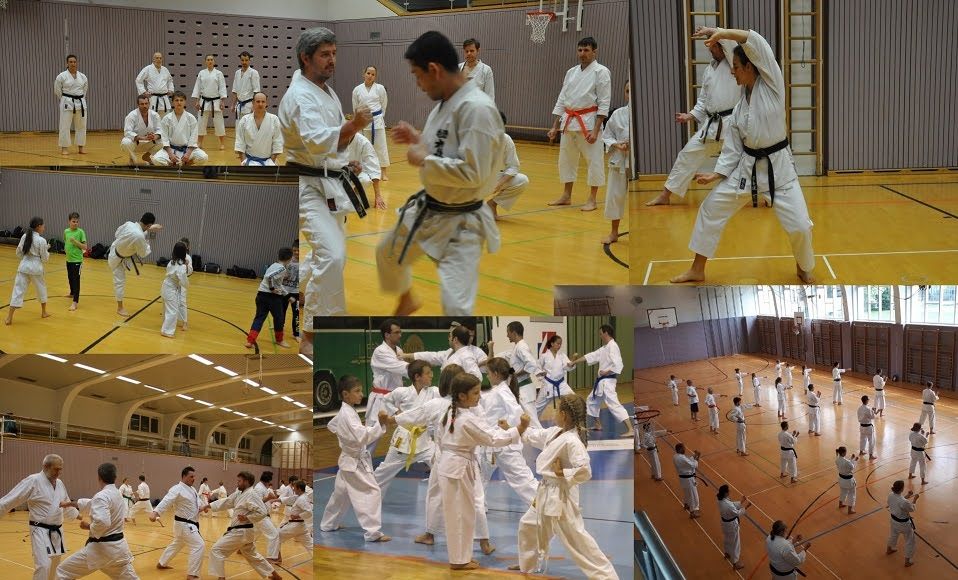 Collage von Training und Lehrgang