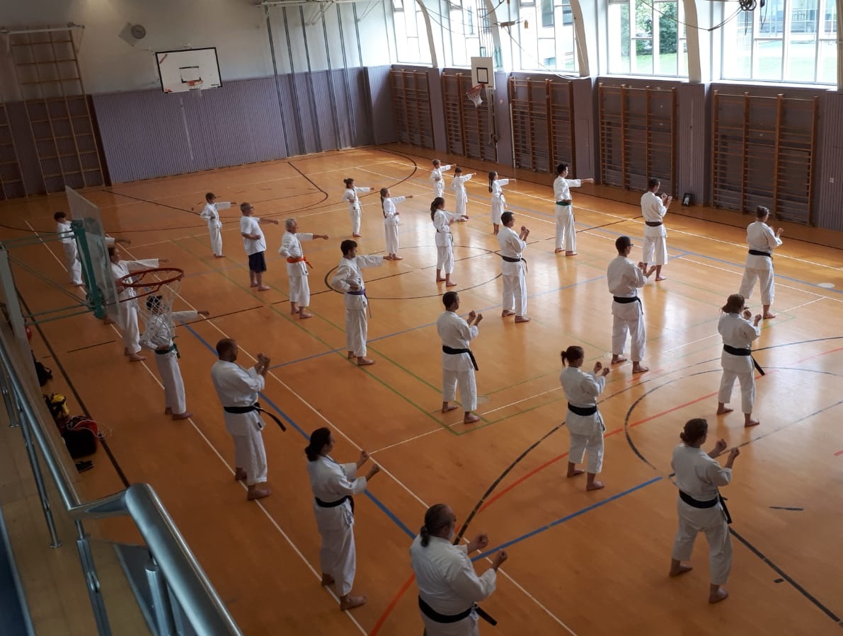 Karateka in Reihen beim Training in der Turnhalle